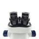 Тринокулярный микроскоп Kaisi TX-350E V1.1 с подсветкой